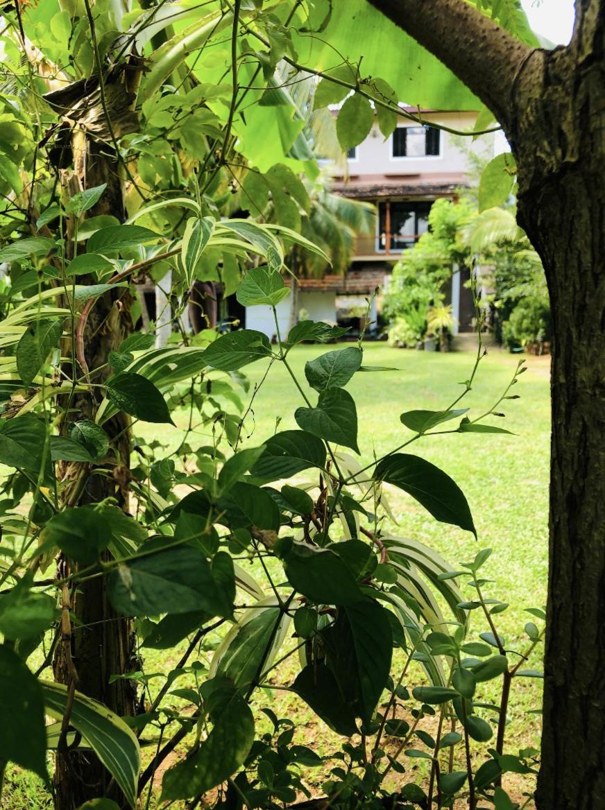 Candle House Kalutara Bagian luar foto